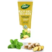 Dabur Tandpasta met gember en munt, , vegan, 100 ml