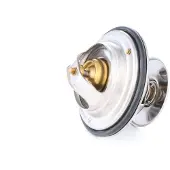 RIDEX 316T0019 Thermostaat, koelvloeistof