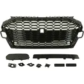 BLIC Ventilatiegrille, bumper 6502-07-0030992KP