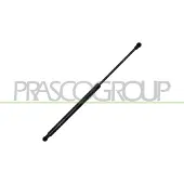 PRASCO ME9099055 Gasveer achterklep