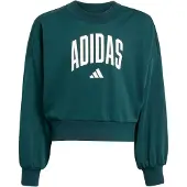 Adidas Sportief sweatshirt smaragd / wit