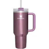 Stanley 1913 Quencher H2.0 FlowState 1.18L Tumbler - Paars, Paars