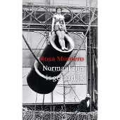 Wereldbibliotheek Normaal zijn is gevaarlijk (Paperback)