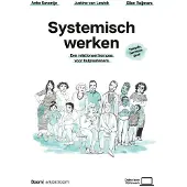 BOOM Systemisch werken (Paperback)