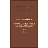 Importantia Publishing De Kleine Profeten III (Paperback)