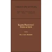 Importantia Publishing De Kleine Profeten I (Paperback)