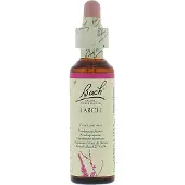 Bach Larch/lariks