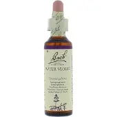 Bach Water violet/waterviolier