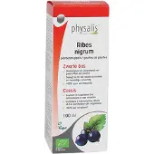 Physalis Ribes nigrum bio