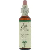 Bach Flower Remedies Duizendguldenkruid 04