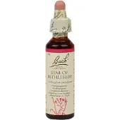 Bach Flower Remedies Vogelmelk 29