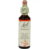 Bach Bloesem No 20 Mimulus 20 ml Druppels