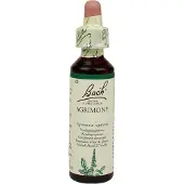 Bach Agrimony/agrimonie