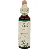 Bach Holly/hulst