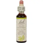 Bach Flowers Bach Flower Remedy 35 White Chestnut | 20 ml