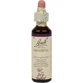 Bach Impatiens/reuzebalsemien