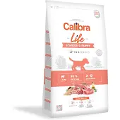 Calibra Hondenvoer Life Hypoallergenic Starter & Puppy Lam & Rijst 2,5 kg
