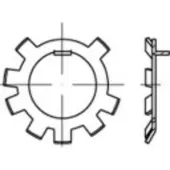 Toolcraft 147181 Stelmoer Binnendiameter: 30.9 mm DIN 70952 Staal 50 stuk(s)