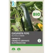 Intratuin Biologisch Groentezaden Courgette (Cucurbita Pepo 'Ola Escaladora')