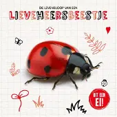 Lumina De levensloop van een lieveheersbeestje (Hardback)