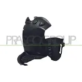 PRASCO RN3324416 Mistlamp