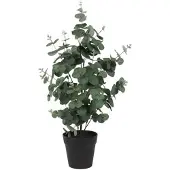 Countryfield Kunstplant Eucalyptus Groen 65 cm – Kunsttak Eucalyptus – Onderhoudsvrije Woondecoratie