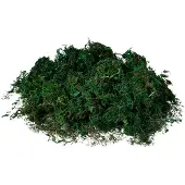 Clayre & Eef Decoratie 40x30 cm Groen Kunststof