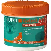 Luposan Gelenk 40 - Tabletten