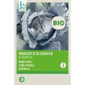 Intratuin Biologisch Groentezaad Rode Kool (Brassica Oleracea 'Klimaro F1')