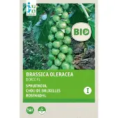 Intratuin Biologisch Groentezaad Spruitkool (Brassica Oleracea 'Doric)
