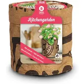 Baza Aardbei Tuinkeukentje Witte Bosaardbei (Fragaria Vesca)