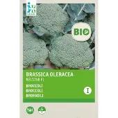 Intratuin Biologische Groentezaad Broccoli (Brassica Oleracea 'Belstar F1')