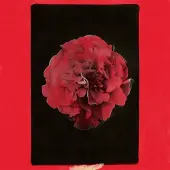 Konkurrent Activity - A Thousand Years In Another Way (LP)