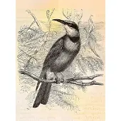 A.S. Création Fotobehang vintage birds2 DD110436 Livingwalls Walls by Patel | Fotobehang