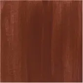 Bruynzeel Ecola plakkaatverf fles 16ml brown 400