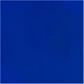 Bruynzeel Ecola plakkaatverf fles 16ml donkerblauw 502