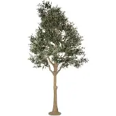 Clayre & Eef Kunst Olijfboom 320 cm Groen Kunststof