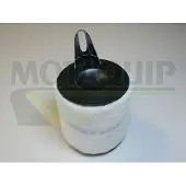 MOTAQUIP VFA1096 Luchtfilter