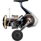 Daiwa Caldia Sw 2023 Spinning Molen
