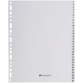 Exacompta Tabbladen met bedrukte tabs in gerecycled PP - 31 tabs - 1 tot 31 - A4 maxi - Grijs - 2931E