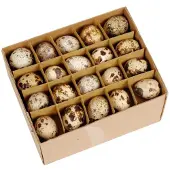 HBX natural living Kwartel Eieren Doos A 60 Stuks Bruin bruin Overig Decoratief