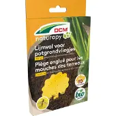 DCM Lijmval voor potgrondvliegjes | | 10 stuks (Bio-label)