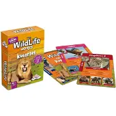 Identity Games Wildlife Weetjes Kwartet