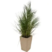 Atmosphera Kunstplant Wonj Palmboom met keramieken pot - 60x60x142cm - Groen/Beige