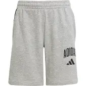 Adidas Broek 'CLGT' grijs gemêleerd / zwart