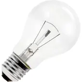 Schiefer E27 Gloeilamp | 25W 2700K 210lm 235V | Dimbaar