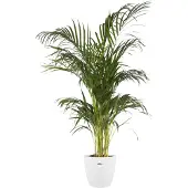 Elho Bloempot Brussels Wit D 29,5 H 27,1 Cm