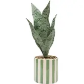 Atmosphera Kunstplant Sansevieria Chéri met keramische pot - Ø12xH38cm - Groen