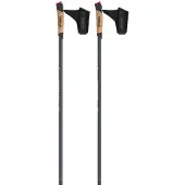Atomic Wandelstok Pro Carbon Qrs | Maat 170 cm