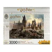 Aquarius Hogwarts 3000 Piece Puzzle Goud Kinderen